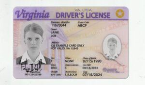 Fake Virginia Driver License