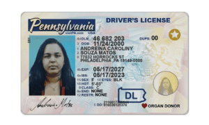 Pennsylvania Fake DL
