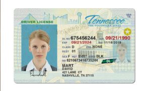 Tennessee Fake Driver License